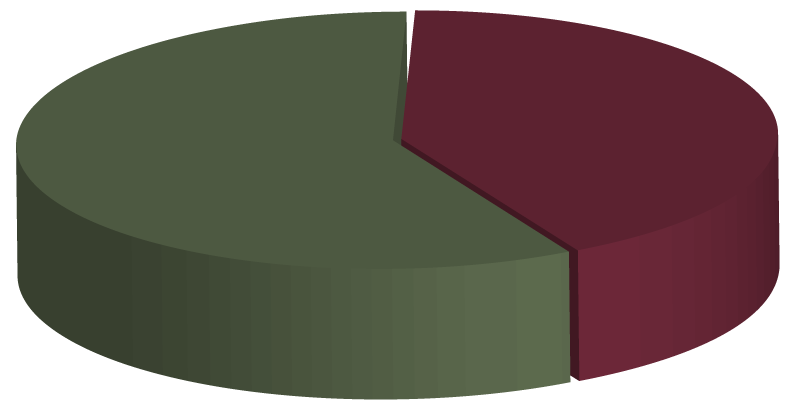 Pie chart showing the German translation fund is 72% funded